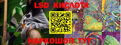 spice Новодвинск